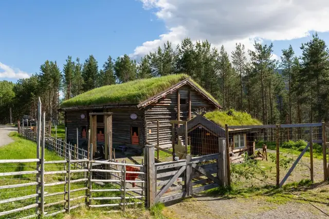 Glittersjå Fjellgård — bilde 14