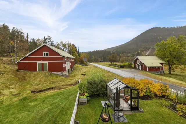 Hageviken — bilde 30