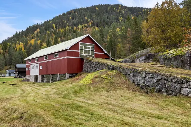 Hageviken — bilde 31