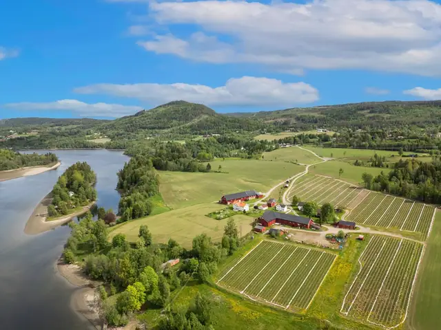 Lynes Nordre gård — bilde 3
