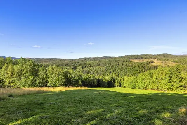 Midtre Strøm Gård — bilde 12