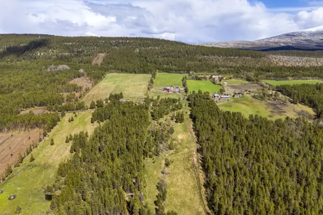 Muruvang - Jotunheimen — bilde 25