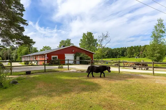Skauen Farm — bilde 20