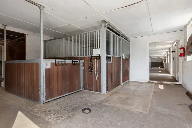 Skauen Farm — bilde 26