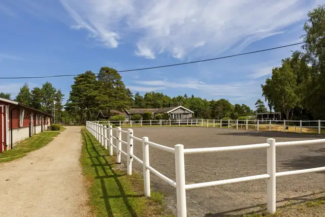 Skauen Farm — bilde 31