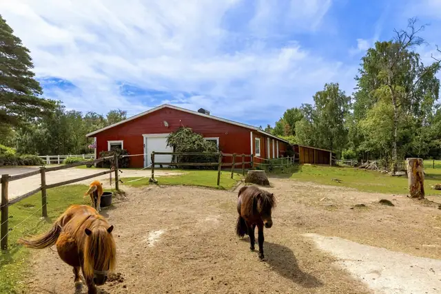 Skauen Farm — bilde 32