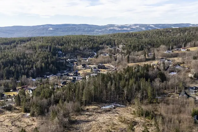 Skogheim — bilde 7