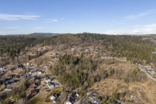 Skogheim — bilde 10