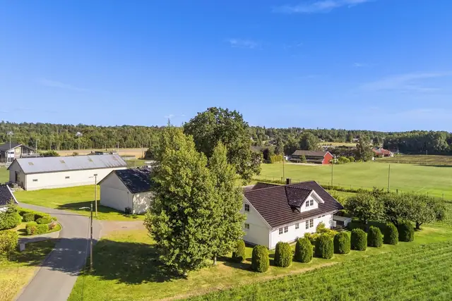 Studsrød — bilde 1