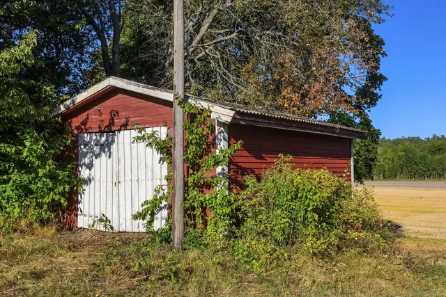 Studsrød — bilde 32