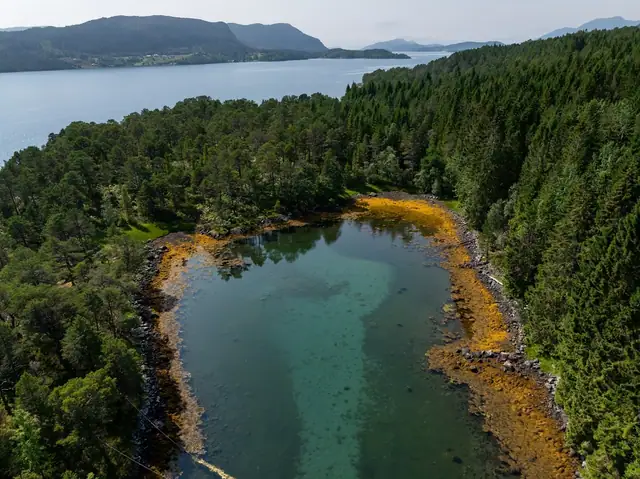 Vemøya — bilde 16