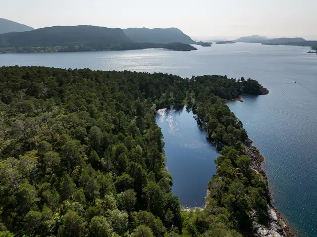 Vemøya — bilde 28