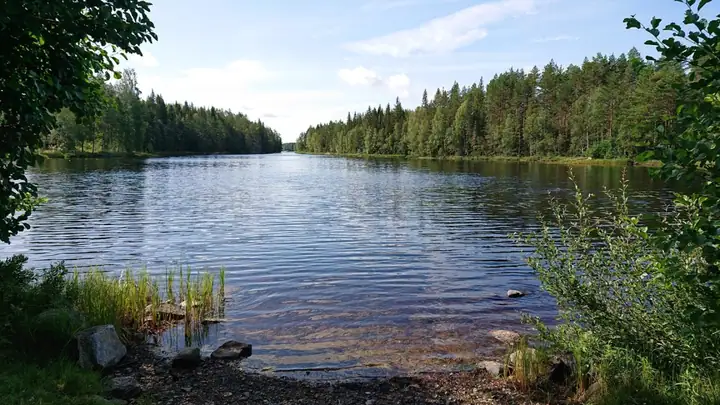 Kjuus Seterskog, Årnes