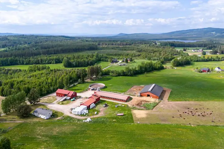 Nordnes Gård, Braskereidfoss