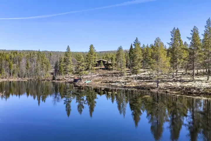 Skogeiendommen Søljerøsta, Rendalen